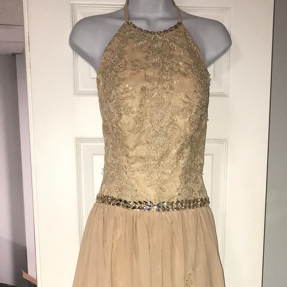Prom/Wedding Dress